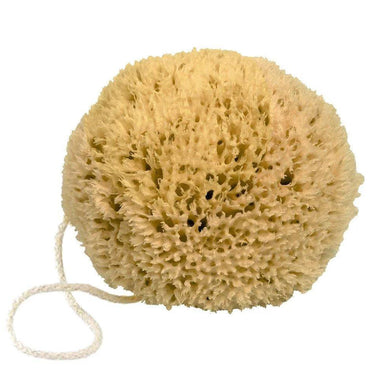 Fer A Cheval Natural Mediterranean Sponge by Love Nature