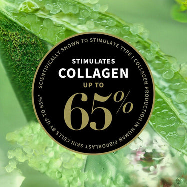 Lime Caviar Collagen-Rich Firming Cream 60ml